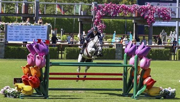 This weekend's three and two-star Grand Prix winners