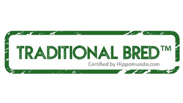 New label “Traditional Bred” pays tribute to tradition in warmblood breeding