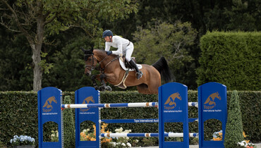 Discover the future stars of show jumping at the second edition of the Tops International Auction 2024