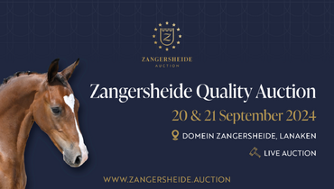 The medal winners of tomorrow - Zangersheide Quality Auction 2024!