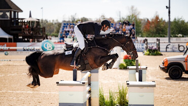 Daido van't Ruytershof Z wins CSI2* Grand Prix by a long Chawke