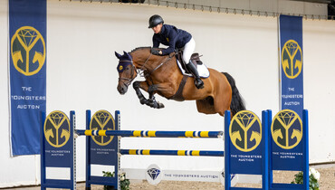 The Youngsters Auction: Highly talented ridden showjumpers and promising 3yo’s