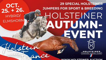 Planning ahead: 30 bright prospects at the Holsteiner Elite Auction