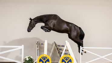 The Youngsters Auction: Top talents to be auctioned this Tuesday!