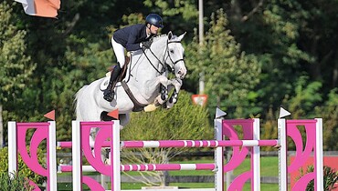 Ladies des Forêts: Invest in champions of tomorrow with Zirocco Blue VDL's elite bloodline