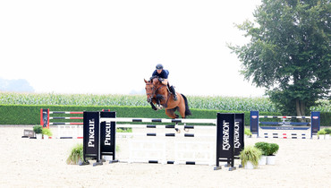 Holger Hetzel Sport Horse Sales presents: All Right