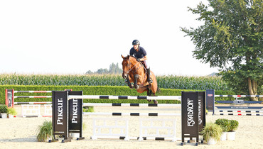 Holger Hetzel Sport Horse Sales presents: Follow Me