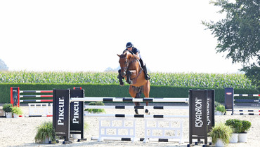 Holger Hetzel Sport Horse Sales presents: Frozen