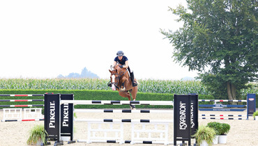 Holger Hetzel Sport Horse Sales presents: Gipfelsturm