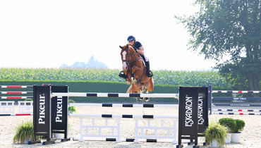 Holger Hetzel Sport Horse Sales presents: Good Vibes