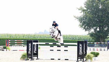 Holger Hetzel Sport Horse Sales presents: Sensationell