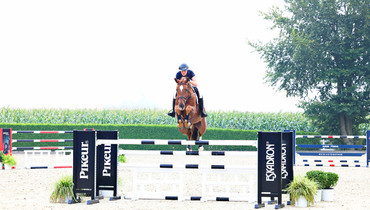 Holger Hetzel Sport Horse Sales presents: Sweet Dream