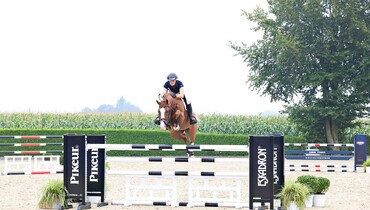 Holger Hetzel’s 19th International Sport Horse Sales: The horses are online!