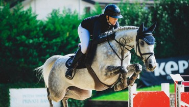 Exclusive Sales Extra Horses: An exceptional collection for the 4th edition!