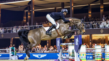 Foxy de La Roque sold to Karl Cook