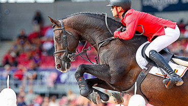 Jérôme Guery's Quel Homme de Hus retires from the sport
