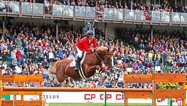 Darry Lou joins Studfarm Zangersheide as remarkable sports career comes to a close