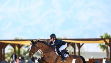 Shawn Casady and Cool Quarz claim victory in $32,000 CSI5* 1.50m MLSJ BRAINJAVA Welcome Speed at Desert Holiday 2