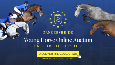 Zangersheide Young Horse Online Auction