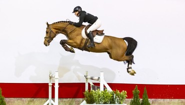 Christmas Youhorse.auction closing today