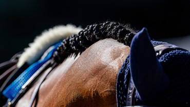 Bassem Mohammed and Wathnan Issem top the CSI4* Polo Club de St Tropez Grand Prix