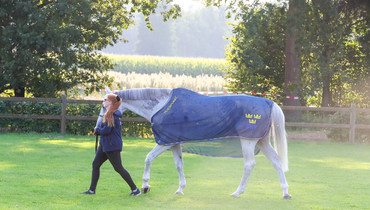 That Special Bond – with Madelene Nord: 