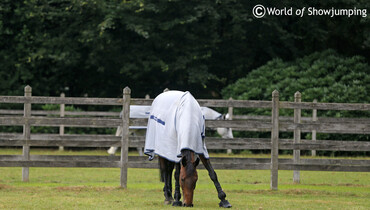Images | Visiting Leopold van Asten - part one