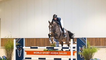 Redfield Farm, Stal Hendrix and André Thieme present the 2025 collection for their annual auction at the WEC in Ocala