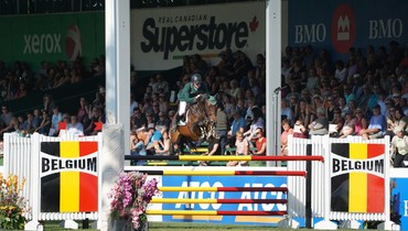 VDL Stud starts the final countdown to the WEF Sport Horse Auction!
