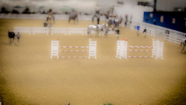 The R-haltenswert movement and the organizers of the FEI World Cup Finals 2025 in Basel are launching a pilot project for the welfare of horses