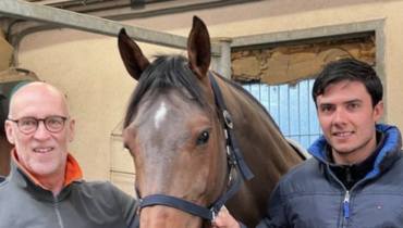 Managing high-performance show jumpers and the role of Equine 74 Gastric