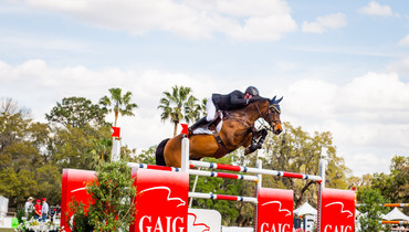 Daniel Coyle and Farrel win the CSI4* 1.55m $63,000 Live Oak International qualifier