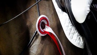 This weekend's CSI3* and CSI2* Grand Prix winners