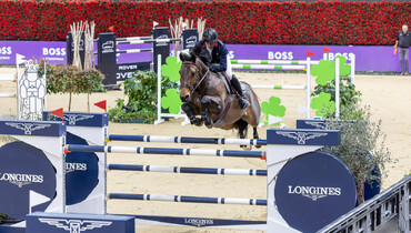 Donatello d’Auge tops the 2025 WBFSH Breeder Ranking for fourth consecutive month