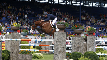 Utamaro d'Ecaussinnes 2015 Horse of the Year in Belgium