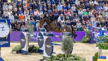 Donatello d’Auge tops the 2025 WBFSH Breeder Ranking for fifth consecutive month