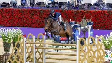Donatello d’Auge back on top of the WBFSH Breeder Ranking