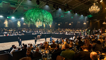 Aloga Auction 2025: A spectacular fifth edition featuring top showjumpers and dressage horses