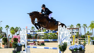 Constant Van Paesschen’s Isidoor van de Helle retires from the sport