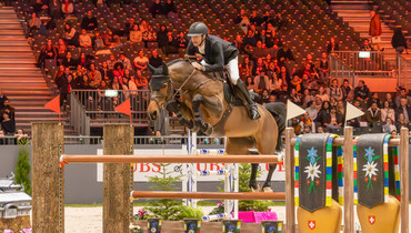 From youngster to international Grand Prix horse: Casual DV Z – “I have a feeling she can do something extraordinary”