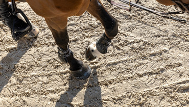 What's on in the jumping world – Week 19, 2025
