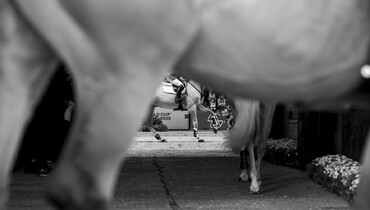 FEI publishes first draft of proposed rule changes for 2026