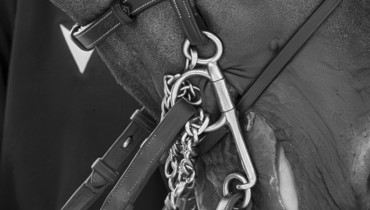 R-Haltenswert’s report from the FEI World Cup™ Finals 2025: “Existing rules are not sufficiently implemented in the interests of the horses”