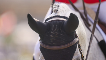 What's on in the jumping world – Week 20, 2025
