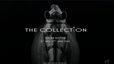 The next Collection Auction is here