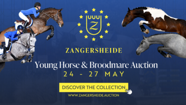 Extraordinary young horses & broodmares in Zangersheide Online Auction 24 – 27 May 2025