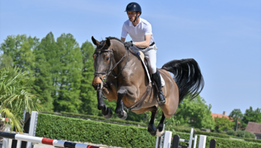 Unbridled jumping talents and stunning foals mark 25th anniversary collection for BWFA!