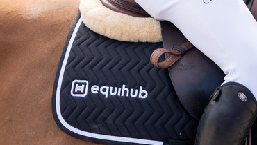 Equihub introduces a new and innovative stable management platform