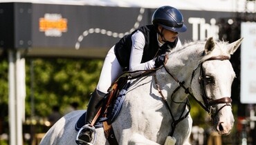 FEI allocates 2027 FEI Jumping European Championship for young riders, juniors and children to Stephex