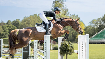 The Brilliance Horse Auction Co. launches it's first summer auction, coming soon during the Agria Royal International Horse Show